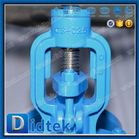 GS-C25 Y Pola Globe Valve