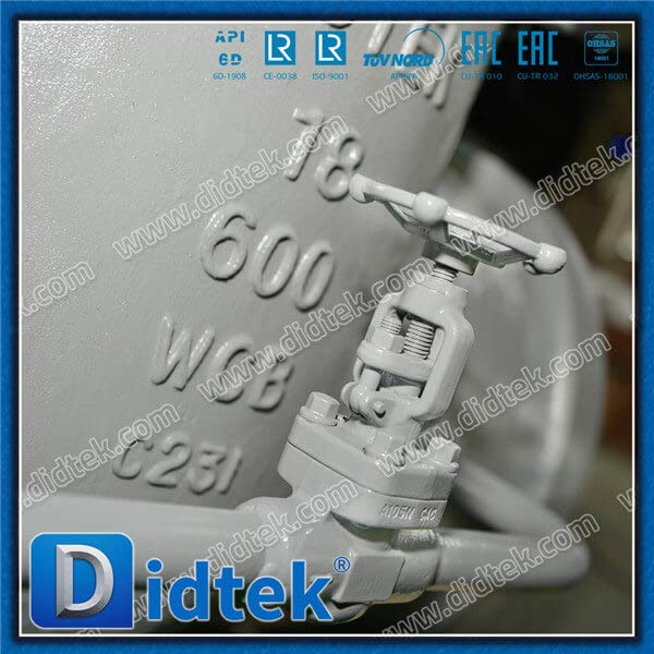 Steam BW 18 '' WCB Gate Valve dengan Bypass