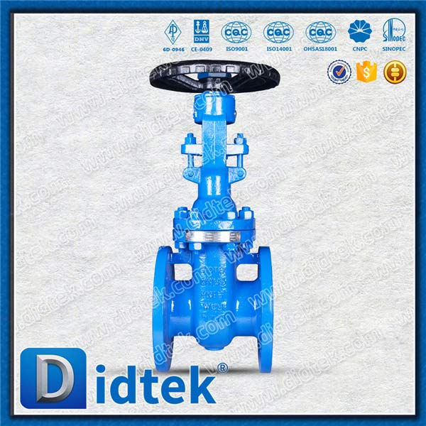 Din Gate Valve-DN65, WCB, Roda Tangan, Flensa