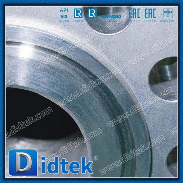 Tekanan Tinggi Monel Flanged 6 Inch Check Valve