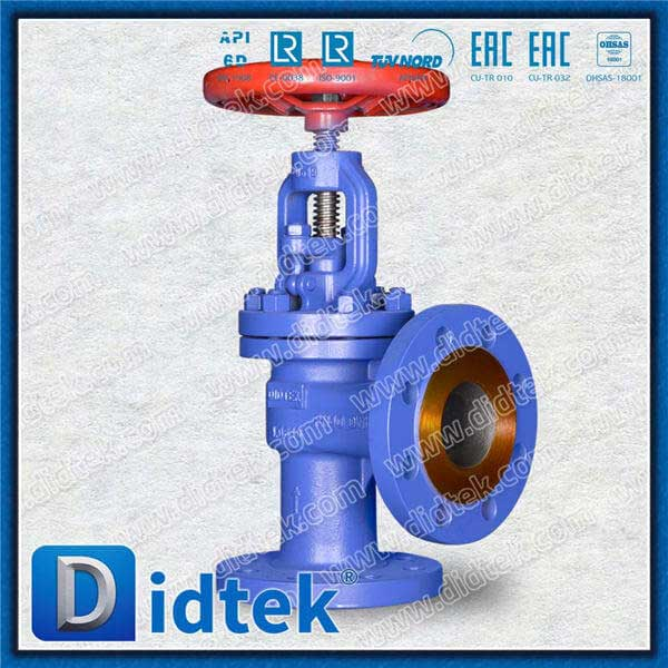 1.0619 SS304 Spring Angle Globe Check Valve