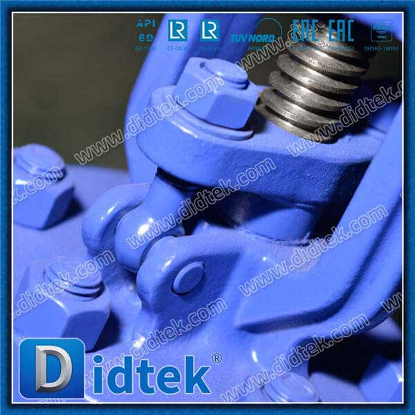 1.0619 SS304 Spring Angle Globe Check Valve