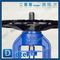 DIN 1.0619 DN65 PN40 Long Bellow Globe Valve