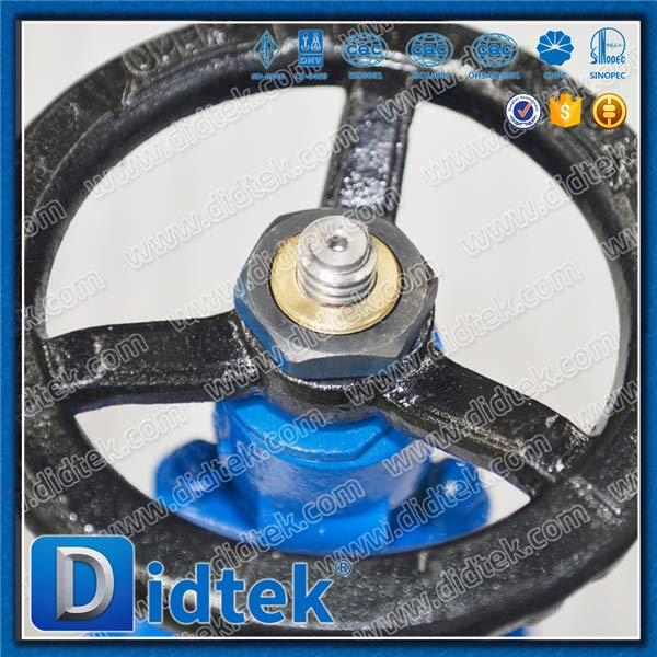 Din Gate Valve-DN65, WCB, Roda Tangan, Flensa