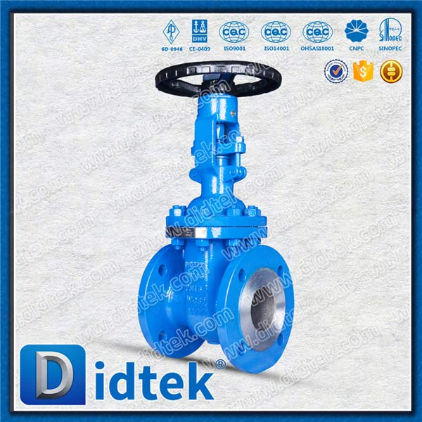 Din Gate Valve-DN65, WCB, Roda Tangan, Flensa