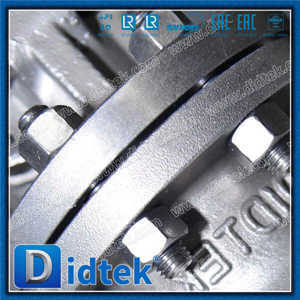 Stainless Steel A351 CF3M HW Globe Valve