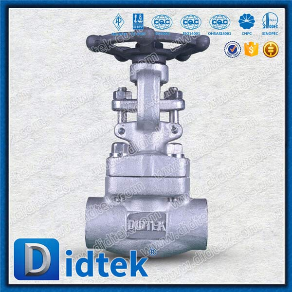 F316H IGC A262 E Tes Versi Forged Steel Gate Valve