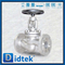 Din Globe Valve-DN50 1.4408 Flange Roda Tangan