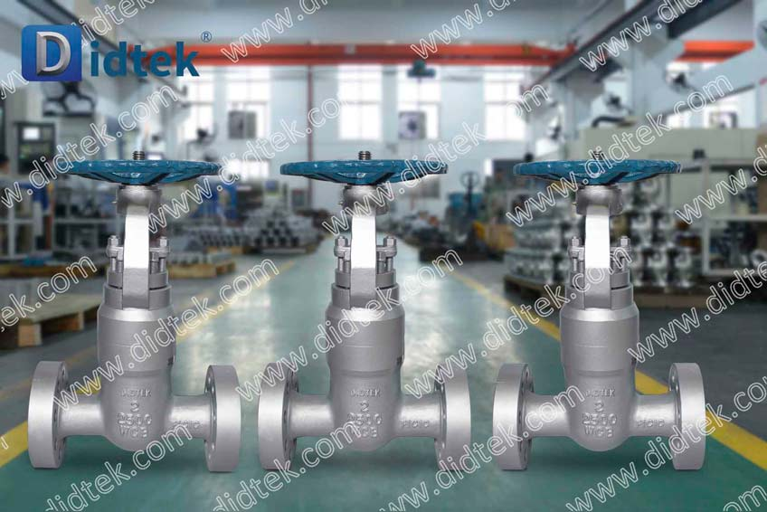 Didtek Casting Steel 2500lb WCB PSB Gate Valve