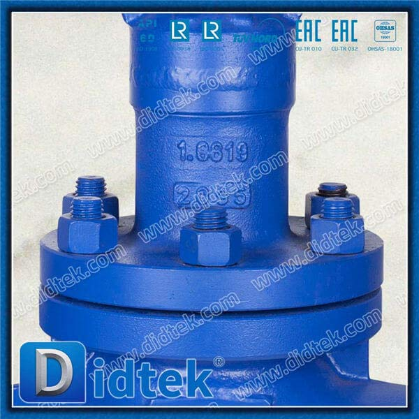 DIN 1.0619 DN65 PN40 Long Bellow Globe Valve