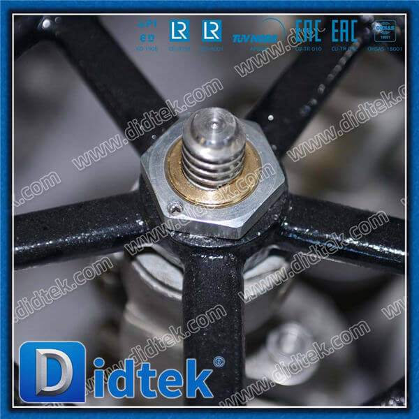 Stainless Steel A351 CF3M HW Globe Valve