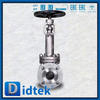 Globe Valve Kriogenik Dengan Trim Material F316 No.10