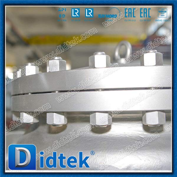 S32760 6A 16 '' GLANGED FULL FULL OPENABLE Renewable Seat Horizontal Swing Check Valve