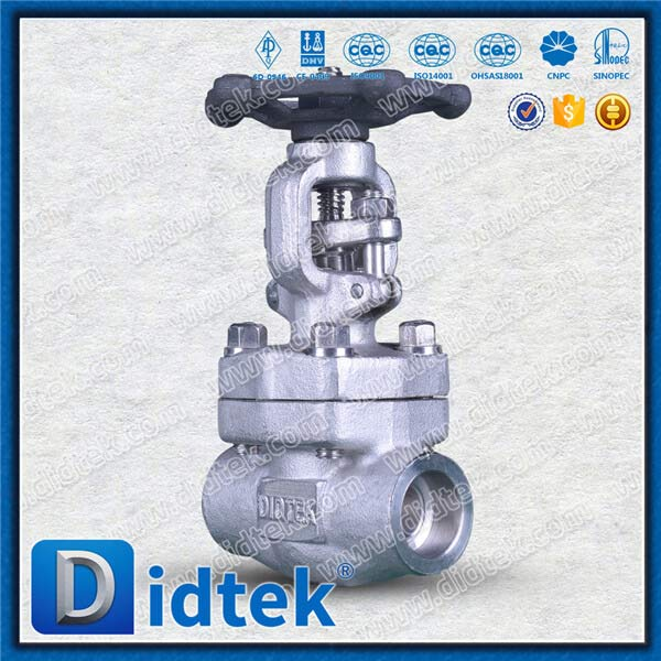 F316H IGC A262 E Tes Versi Forged Steel Gate Valve