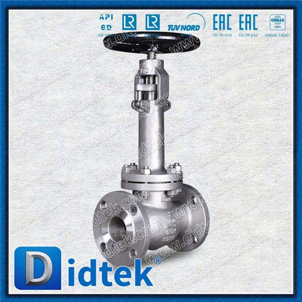 Globe Valve Kriogenik Dengan Trim Material F316 No.10