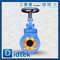 Indikator Posisi Trim SS13CR Mengatur Disk Globe Valve