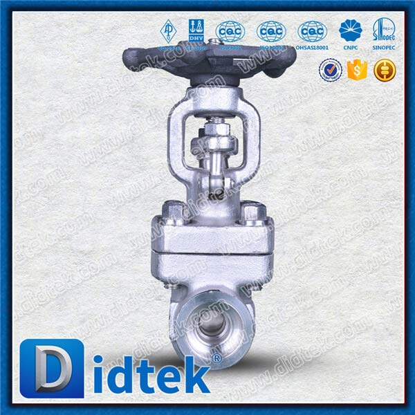 F316H IGC A262 E Tes Versi Forged Steel Gate Valve