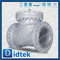 API6D Full Open Full Bore Ansi Ansi Class 300 Swing Check Valve