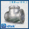 S32760 6A 16 '' GLANGED FULL FULL OPENABLE Renewable Seat Horizontal Swing Check Valve