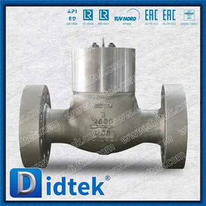 3 inci 2500lb PSB Swing Check Valve