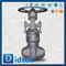 Tekanan tinggi bahan f22 trim penuh stl bw ujung globe valve