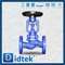 GG25 Bellow Globe Valve