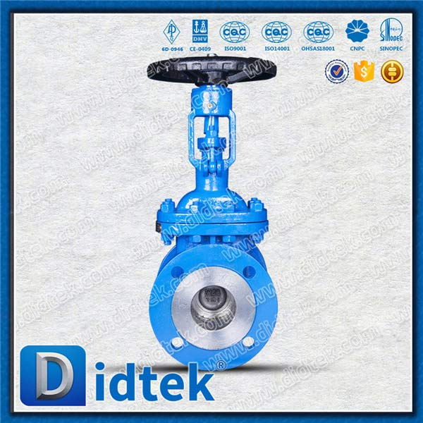 Din Gate Valve-DN65, WCB, Roda Tangan, Flensa