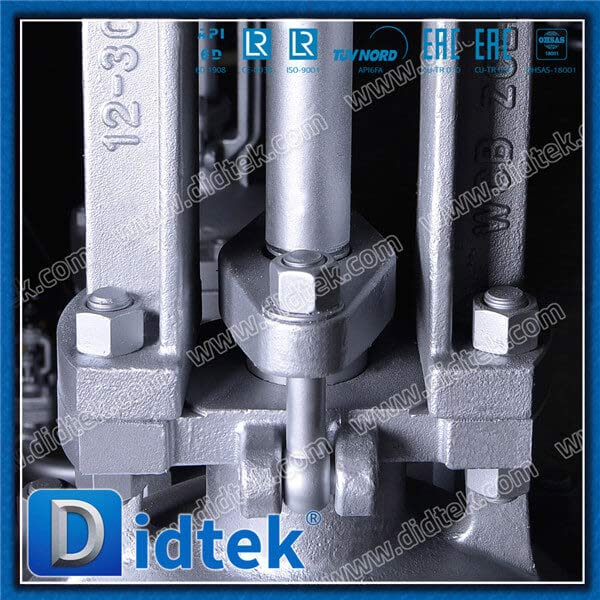 WCB Wedge Gate Valve dengan bypass