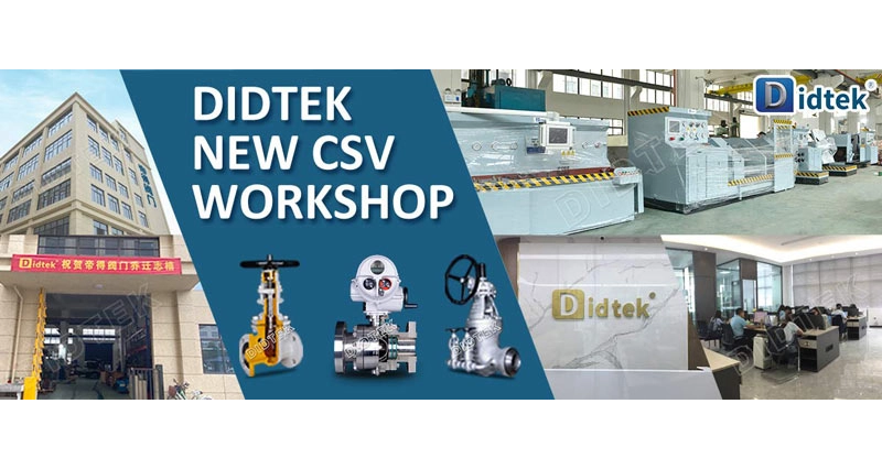 Didtek Workshop CSV Baru 2020