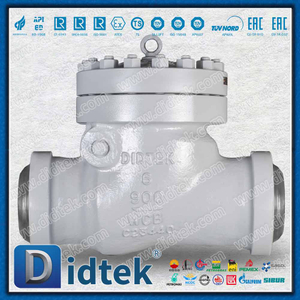 Katup Periksa Ayun API6D 900LB Dengan Koneksi BW