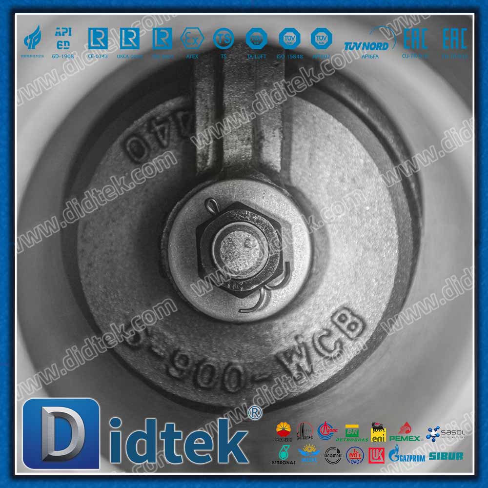 Katup Periksa Ayun API6D 900LB Dengan Koneksi BW
